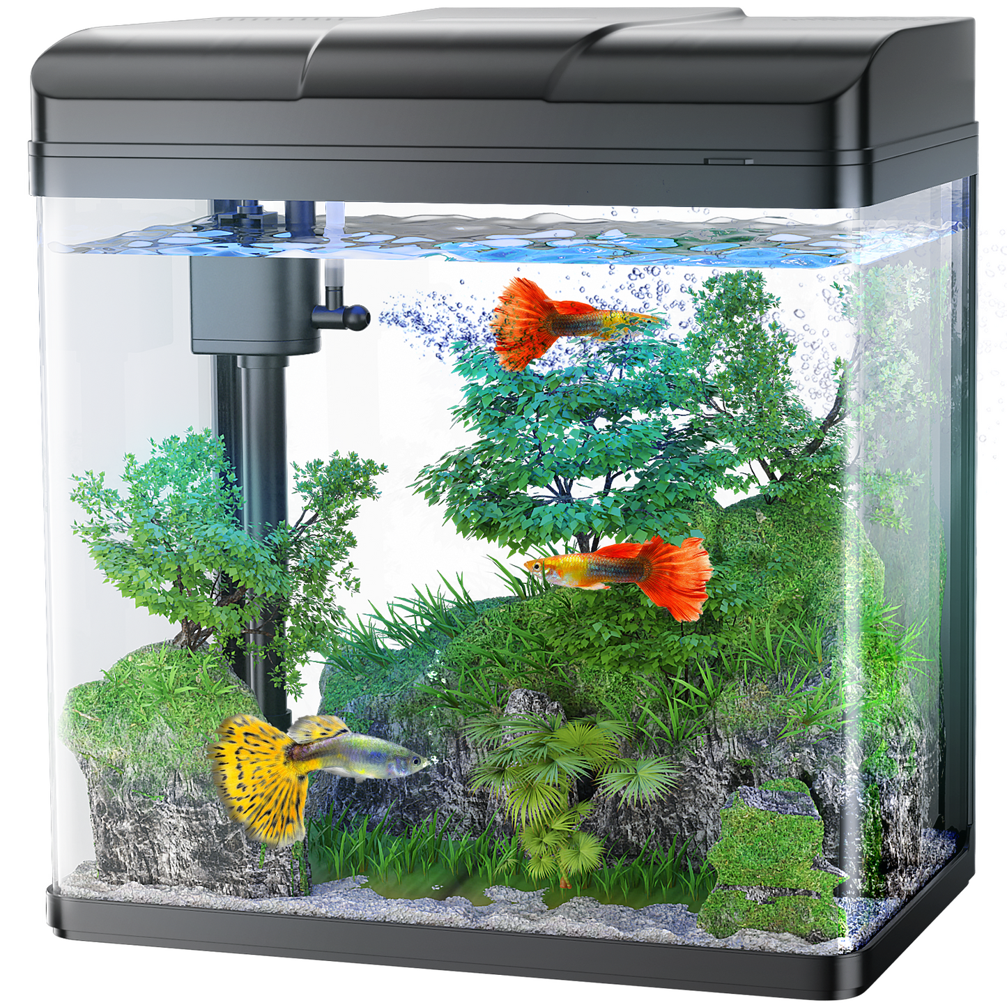 PONDON Fish Tank, 1.7 Gallon Glass Aquarium with Air Pump & LED Light & Filter, Small Fish Tank for Betta Fish Starter Kit