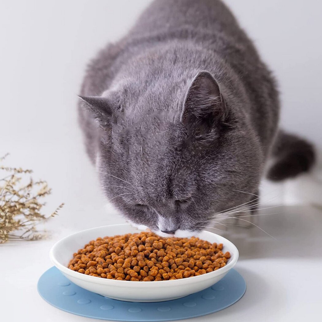 Dorakitten Ceramic Cat Food Plates: Cat Wet Food Bowls Cat Feeding Wide Bowls to Stress Relief of Whisker Fatigue Cat Dishes, Shallow Bowls for Kittens and Small Animals with Non-Slip Mat