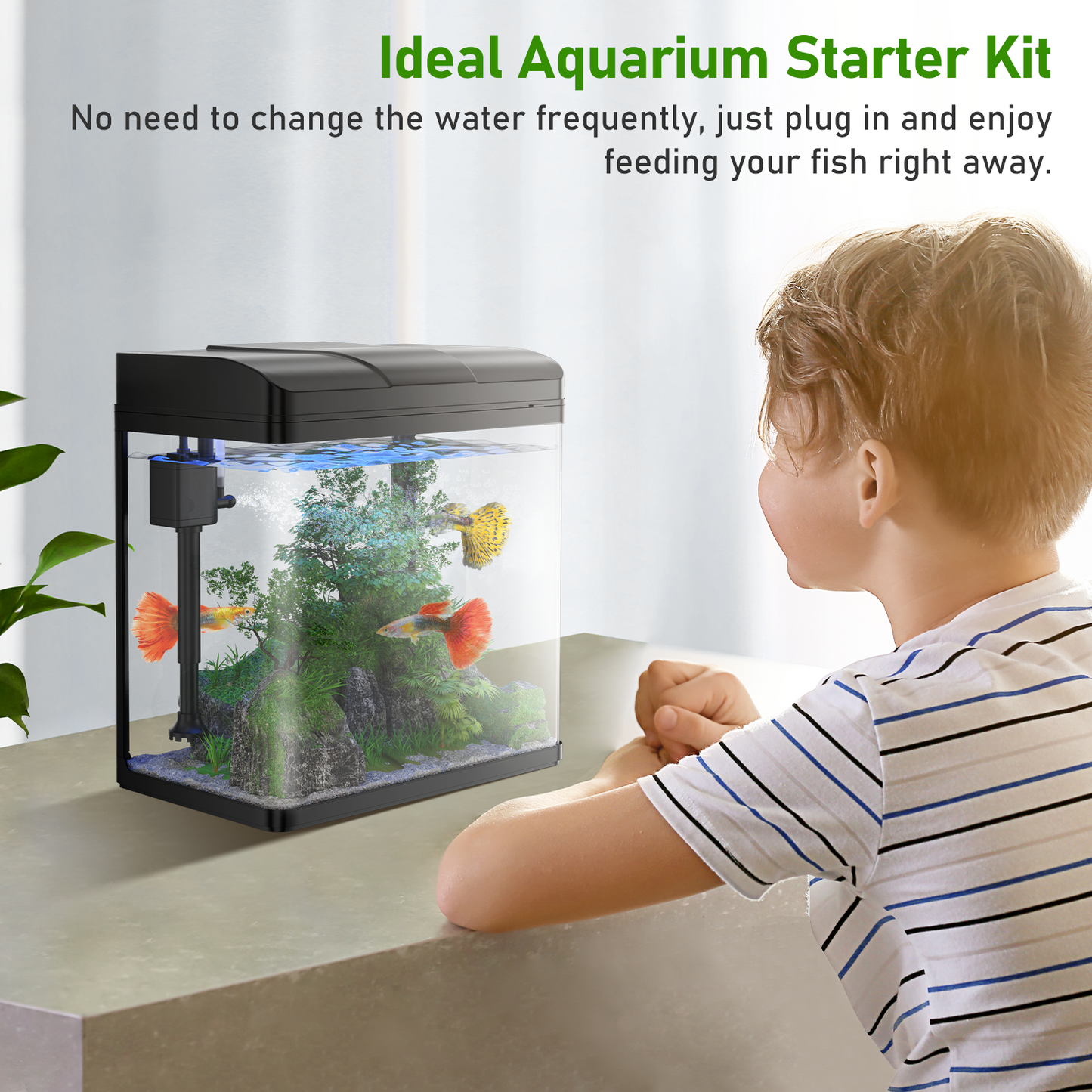 PONDON Fish Tank, 1.7 Gallon Glass Aquarium with Air Pump & LED Light & Filter, Small Fish Tank for Betta Fish Starter Kit