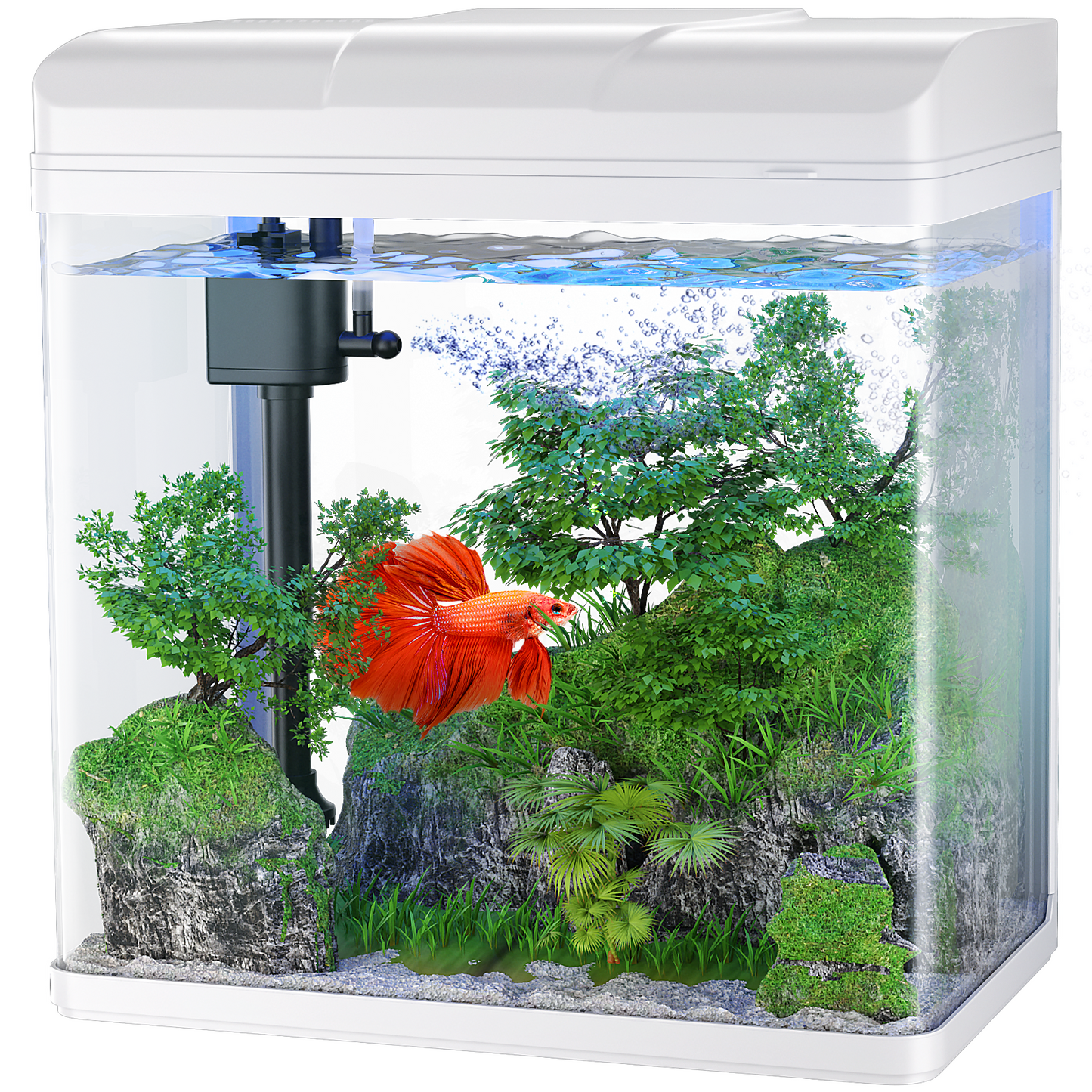 PONDON Fish Tank, 1.7 Gallon Glass Aquarium with Air Pump & LED Light & Filter, Small Fish Tank for Betta Fish Starter Kit