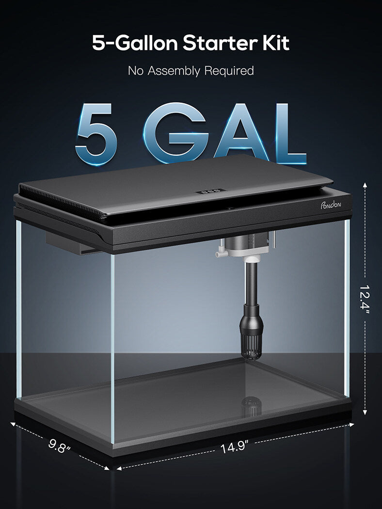PONDON 5 Gallon Fish Tank, Low Iron Glass Aquarium Starter Kits with Temperature Digital Display, Betta Fish Tank with No Installation for Beginners and Enthusiasts£¨Black£©