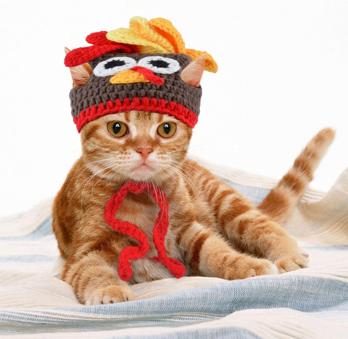 Pet Hat Cute Lovely Xmas Tree Santa Turkey Frog Bear Elk Dog Christmas Hat Pet Warm Hat