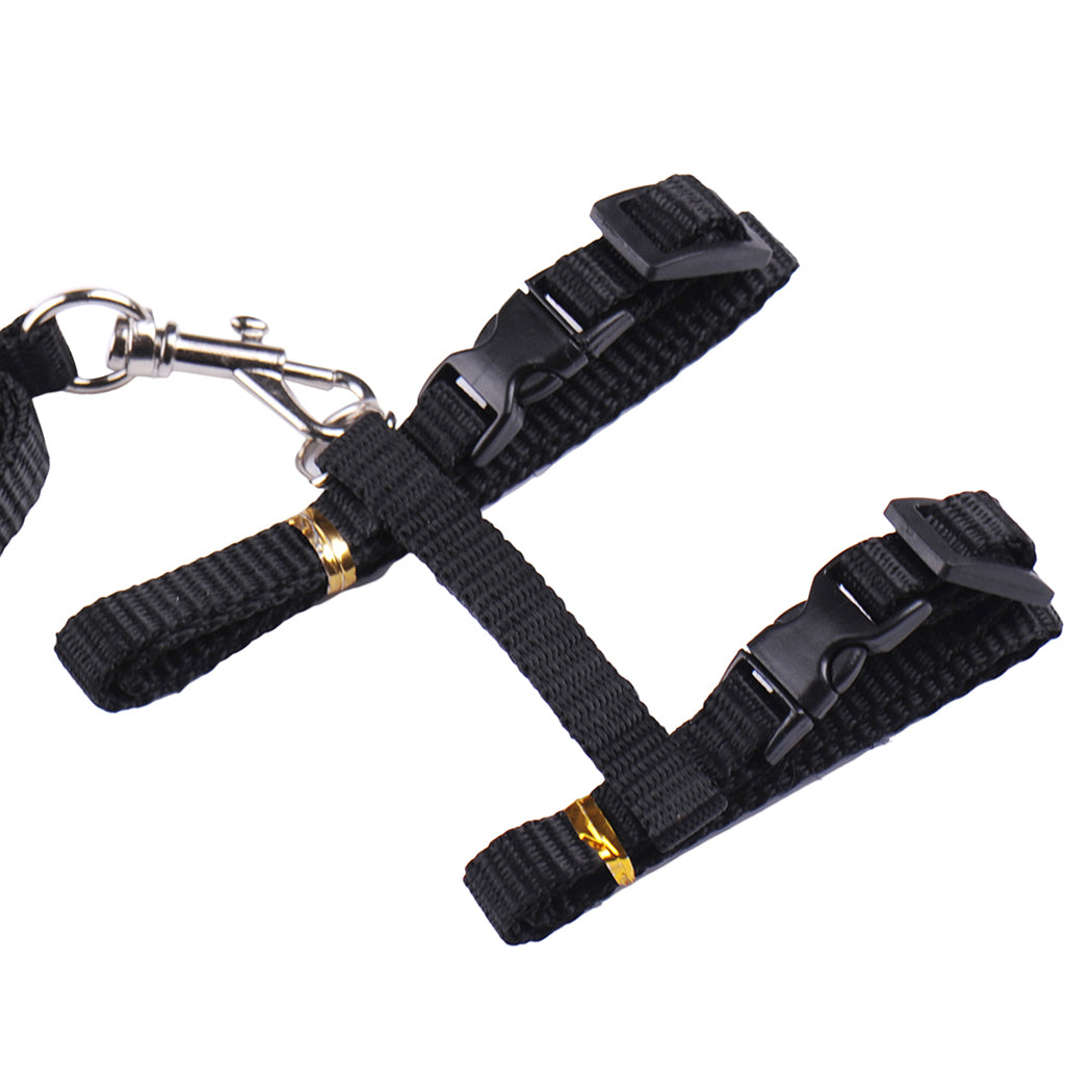 Cat Leash Harness Set Adjustable 2 Sets Nylon Kitten Leash Pet Walking Leash
