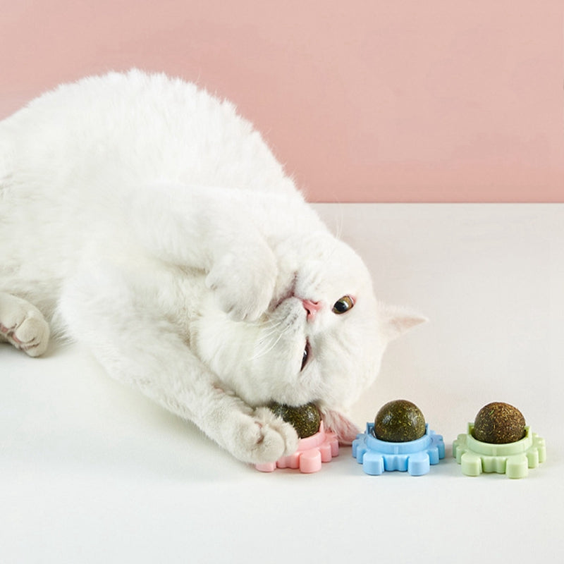 Cat Catnip Ball Rotatable 3PCS Crab Shape Cat Teeth Cleaning Toy Cat Mint Toy