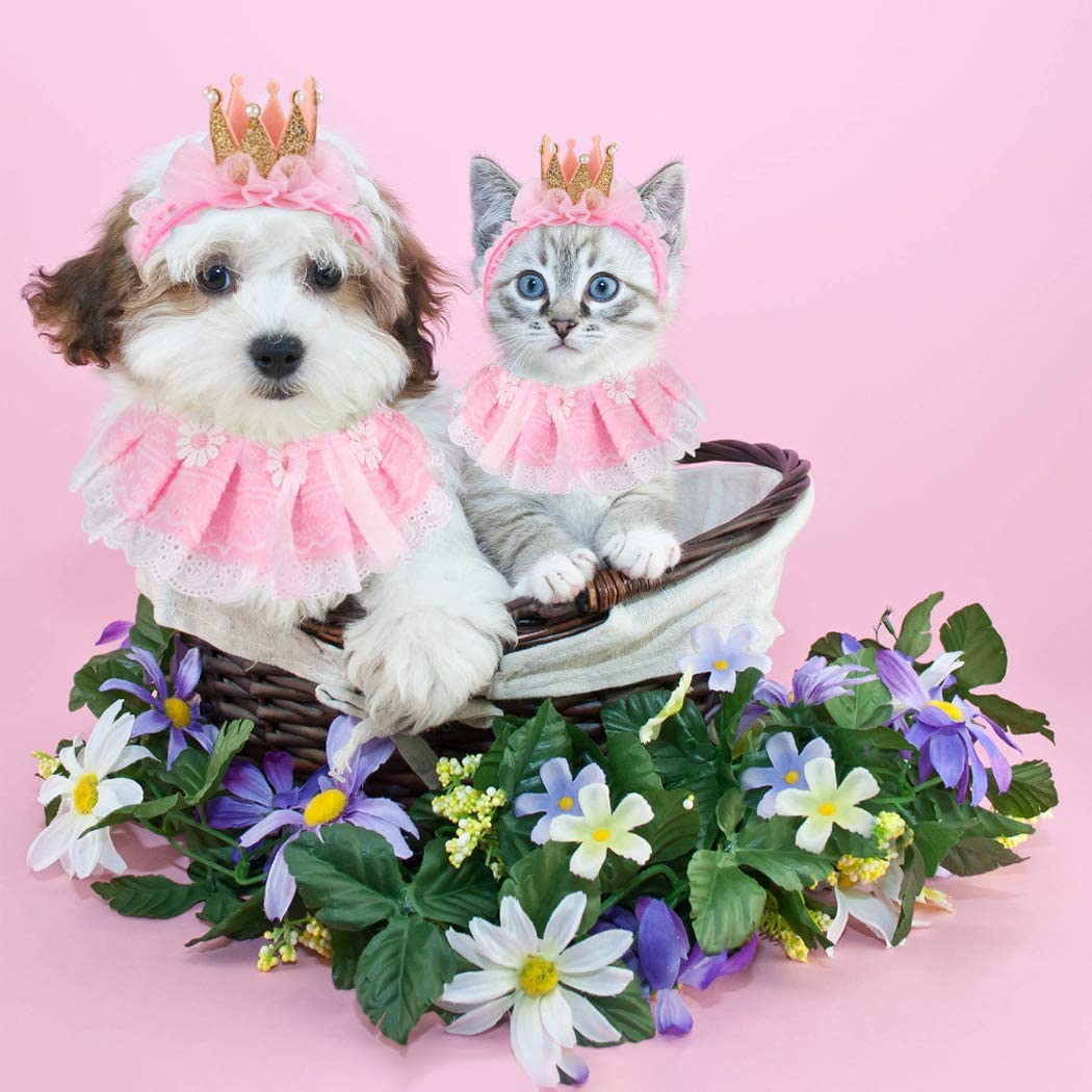 Pet Hat Decorative Cute Crown Lace Pet Headband Pet Costume Hat with Cat Bib