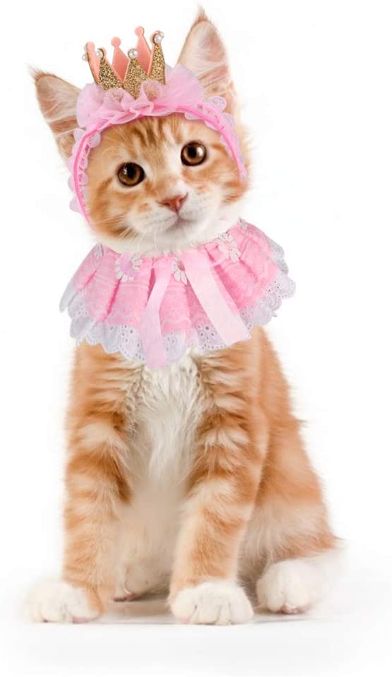 Pet Hat Decorative Cute Crown Lace Pet Headband Pet Costume Hat with Cat Bib