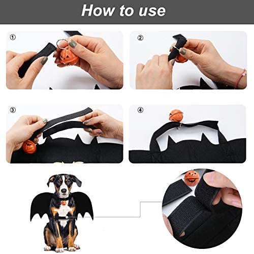 Halloween Pet Costume Creative Dog Bat Costume with Leash Pumpkin Bell & O Ring