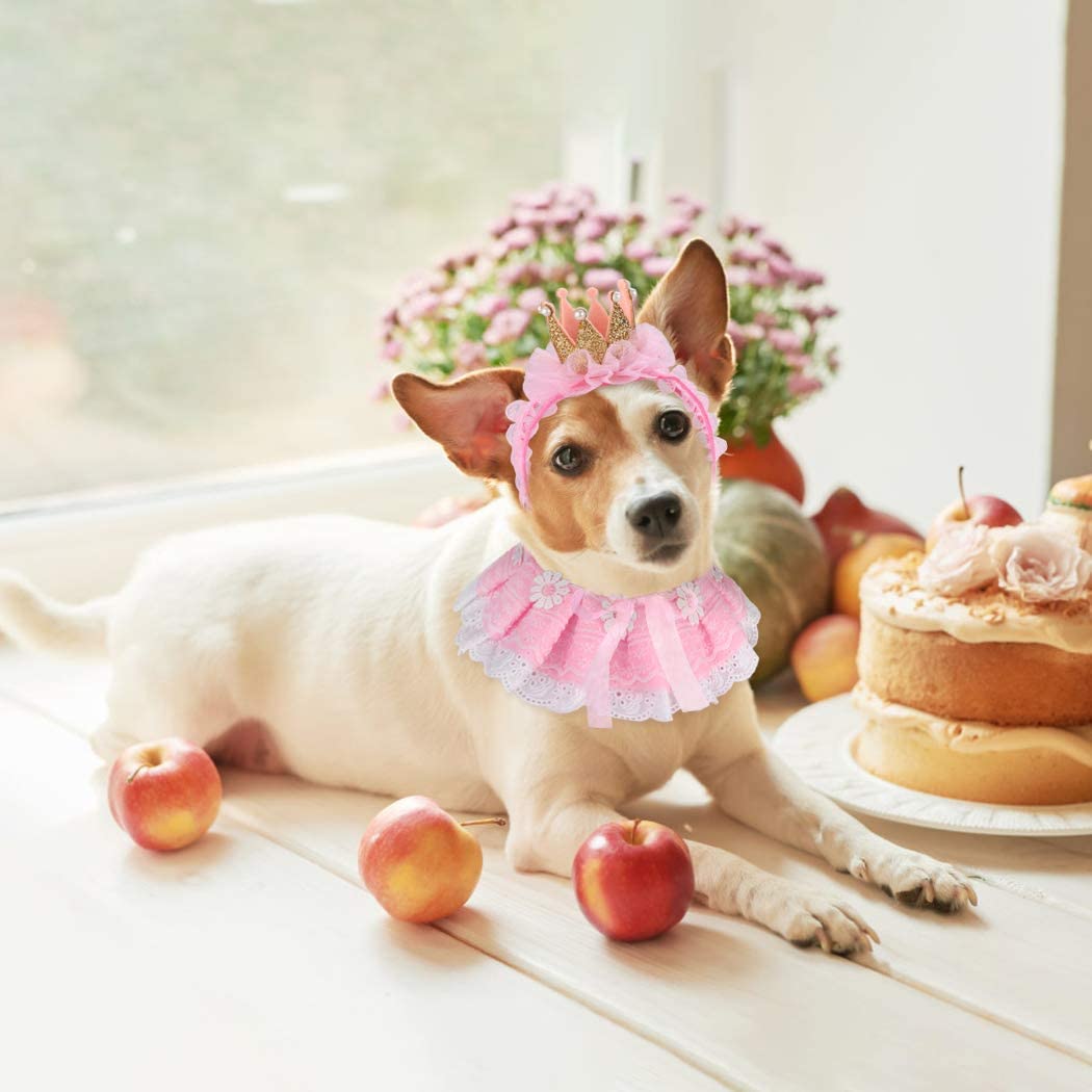 Pet Hat Decorative Cute Crown Lace Pet Headband Pet Costume Hat with Cat Bib